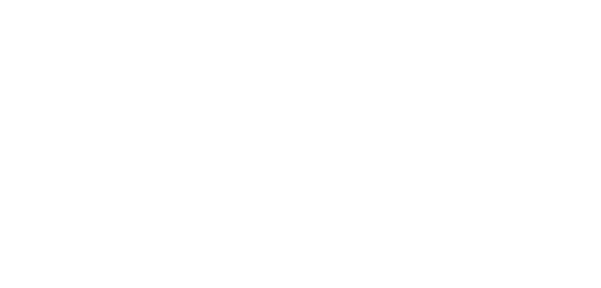 Falcoaria Real